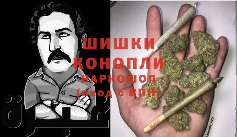 mega   Рязань  Конопля OG Kush 